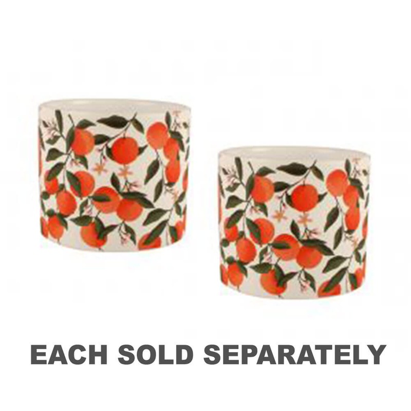 Pot de plante en cramique du mandarin