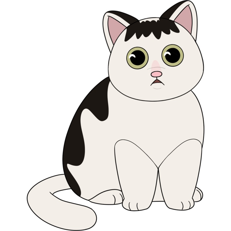 Huh Cat Plush (9in)