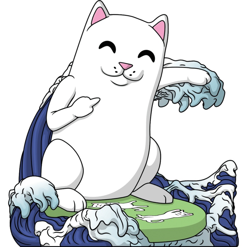 Surfing Nerm