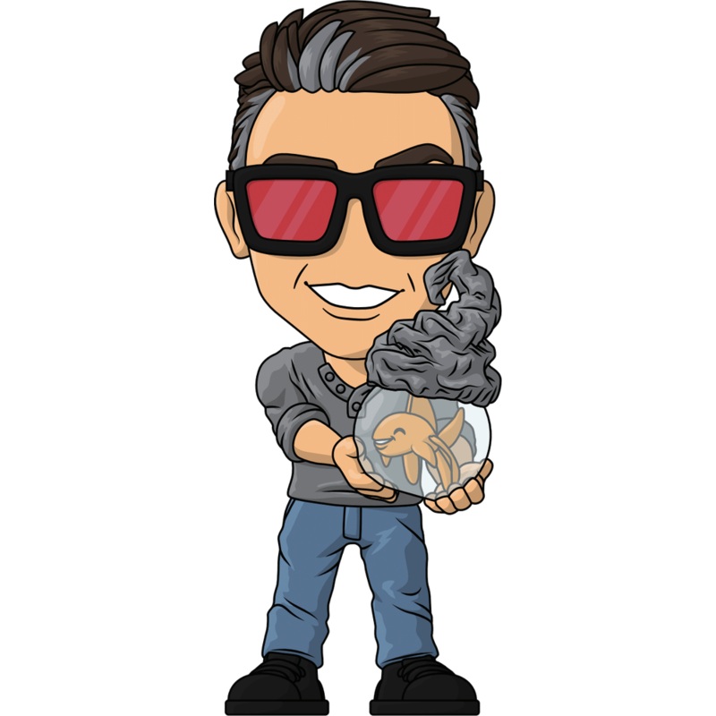 TheWhyFiles