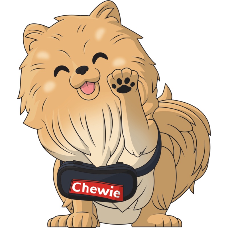 Chewie the Pomeranian