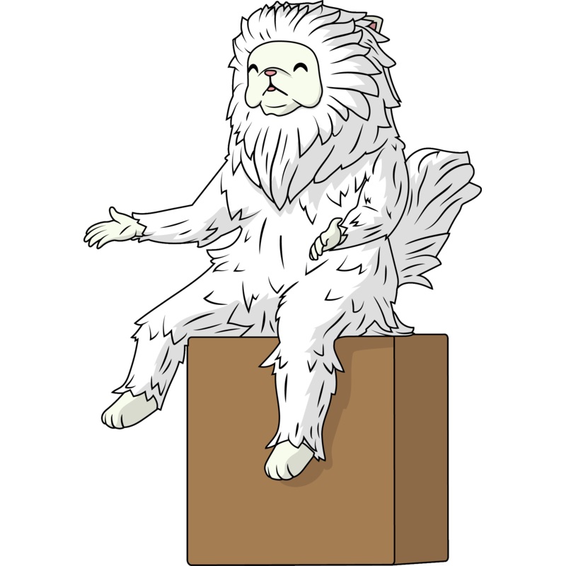 Persian Cat