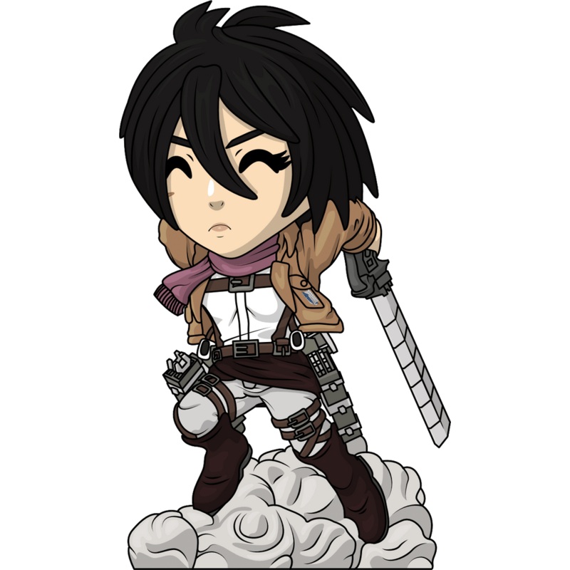 Attacking Mikasa