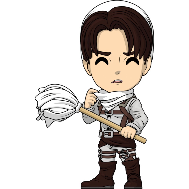 Cleaning Levi