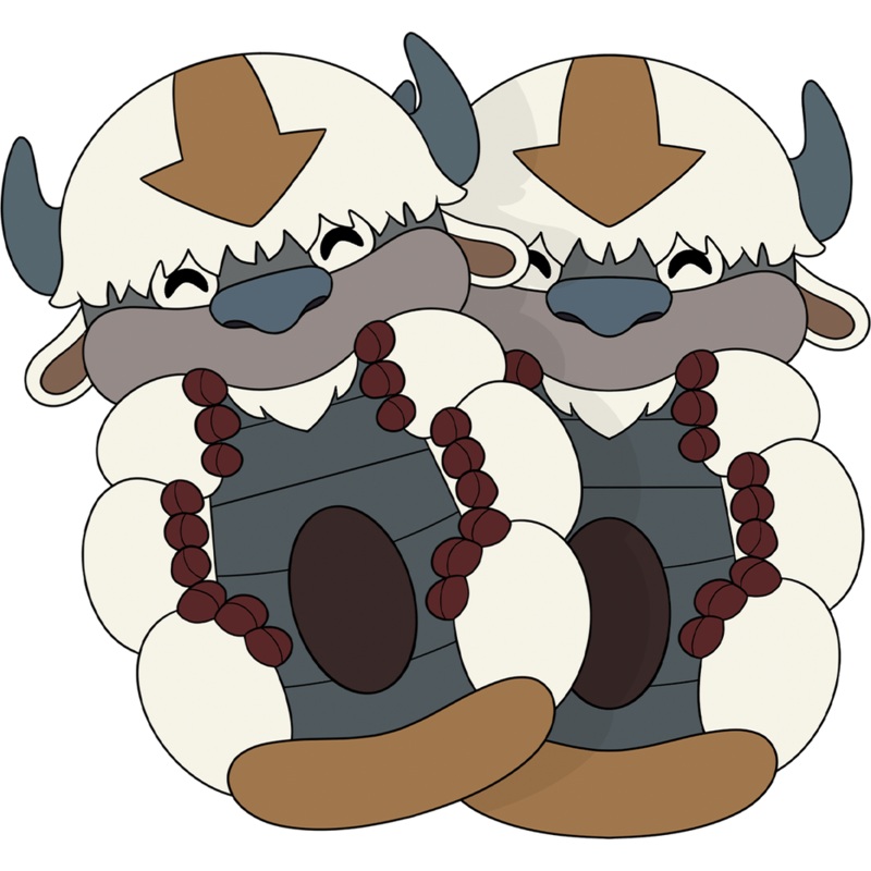 Appa Slippers