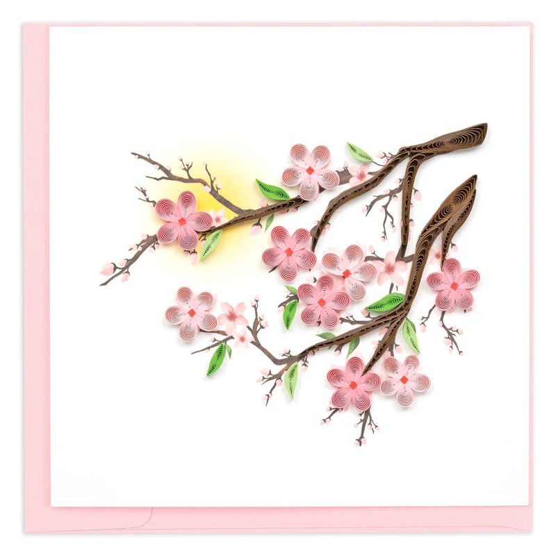 Cherry Blossoms