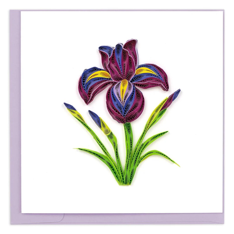 Iris Flower