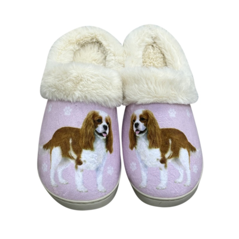 King Charles Cavalier - Snugg Slippers