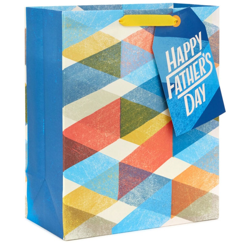 Multicolor Plaid Large Father's Day Gift Bag 13"