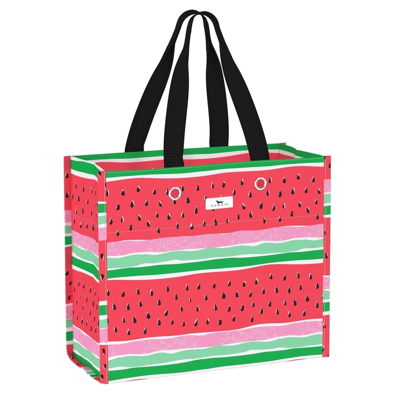 Gift Bag Large Large Package - Melondramatic