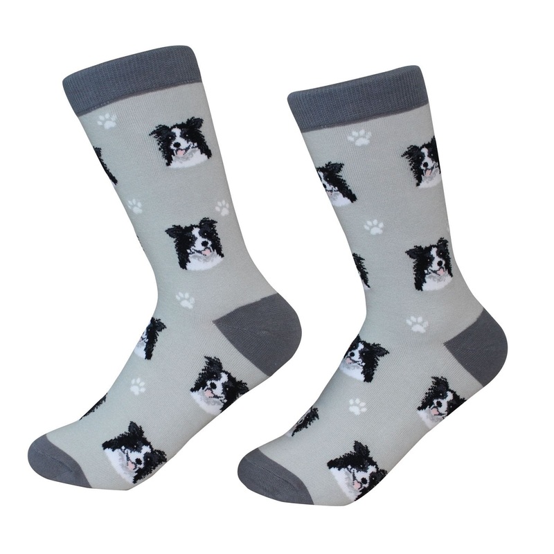 Border Collie - Socks