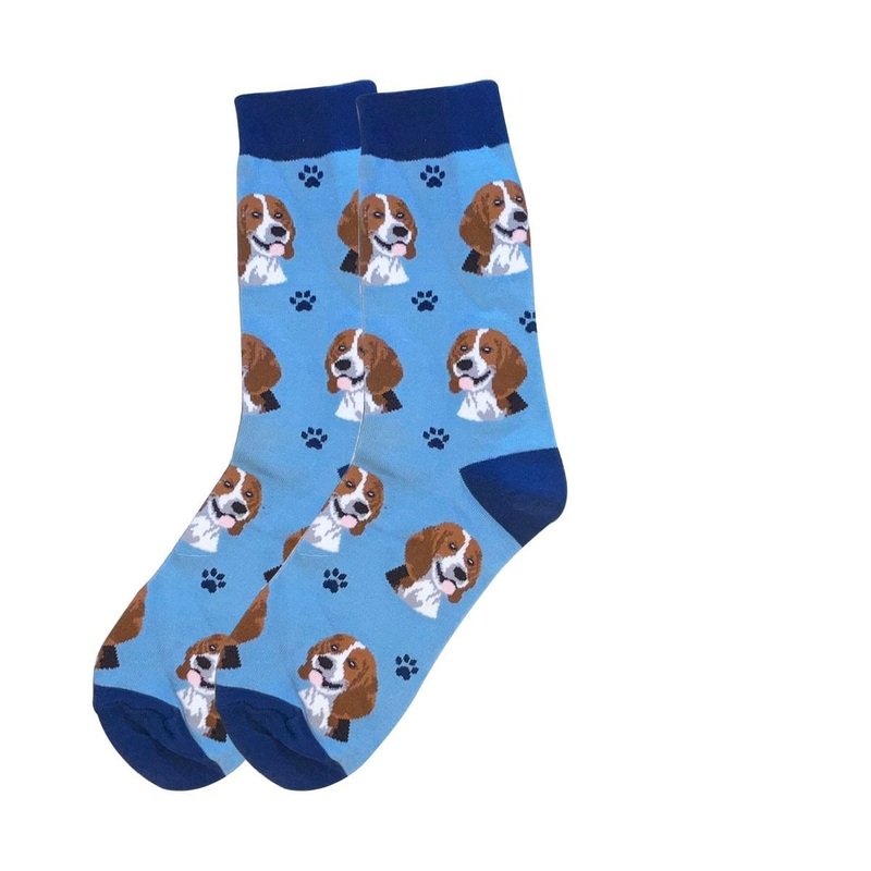Beagle -  Socks