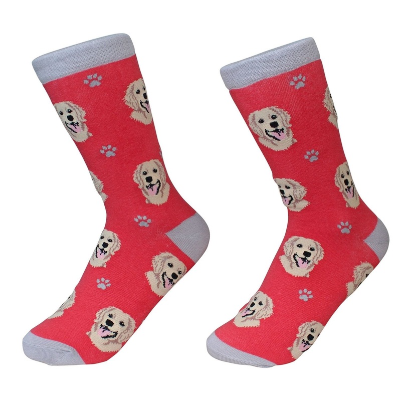 Golden Retriever - Socks