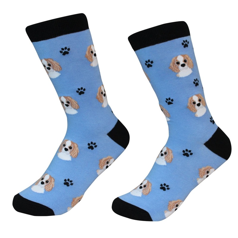 King Charles Cavalier - Socks