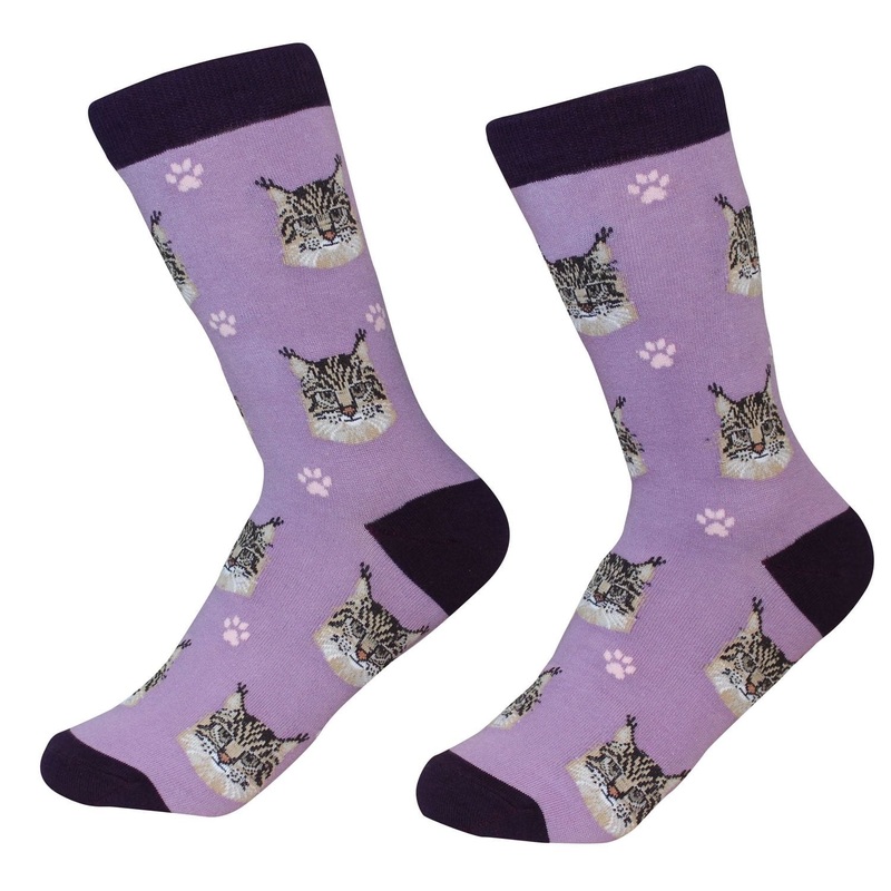 Maine Coon Cat - Sock