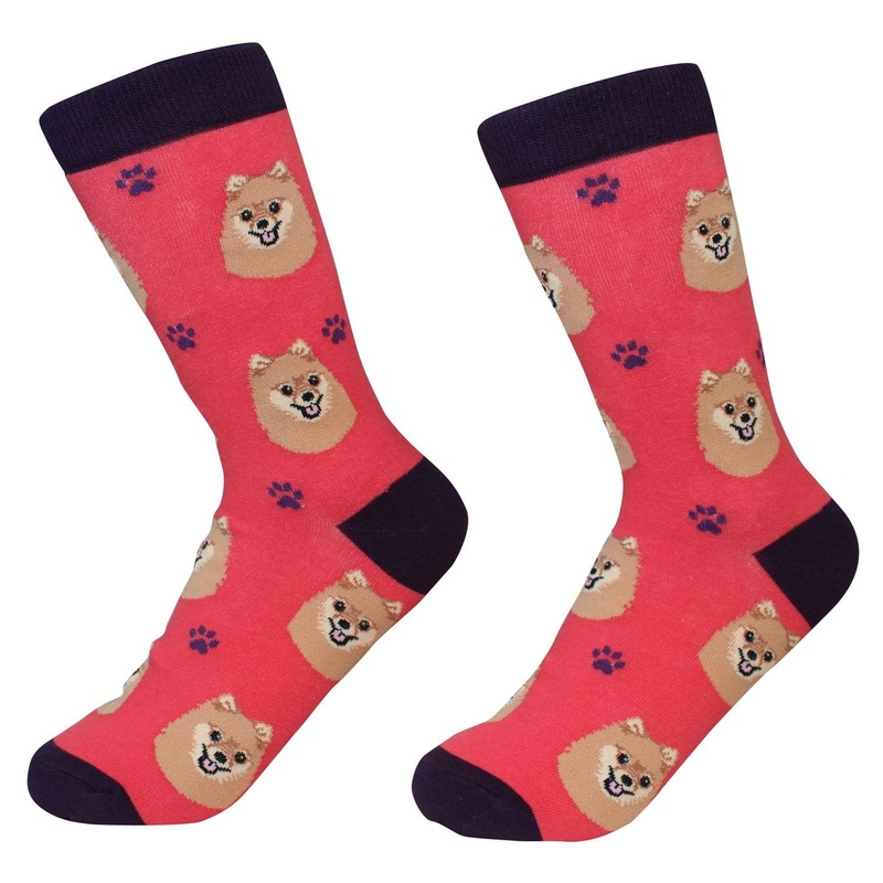 Pomeranian - Socks