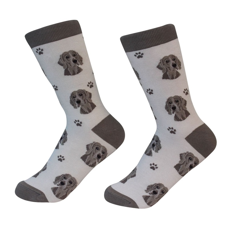 Weimaraner - Socks