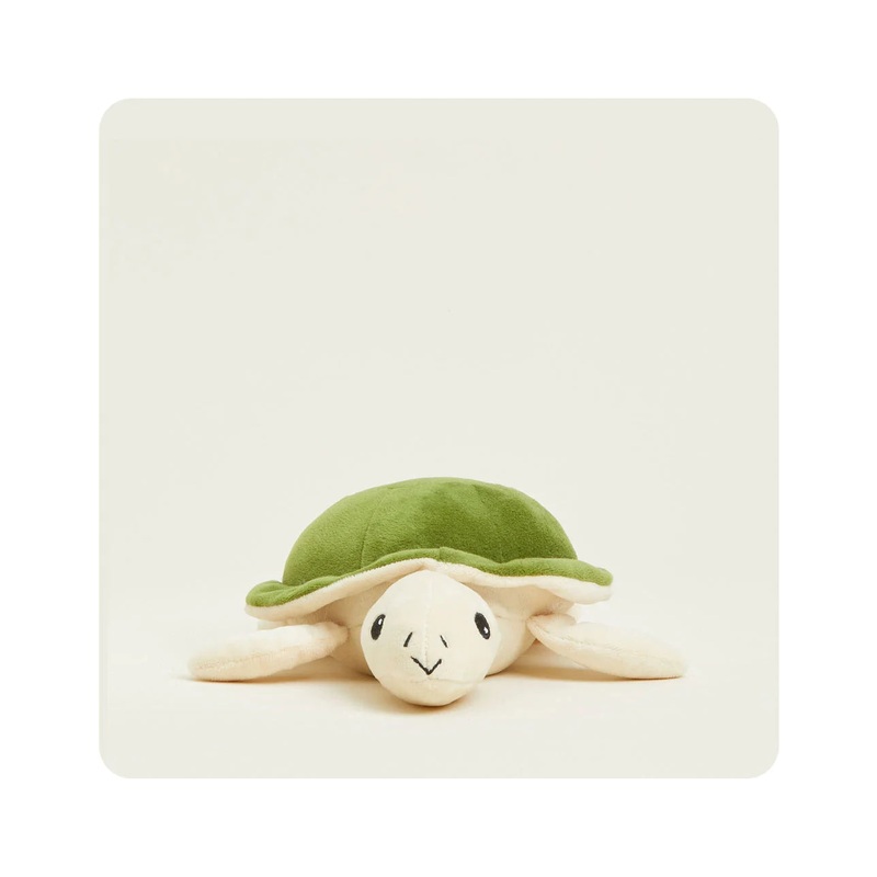 Turtle - Junior