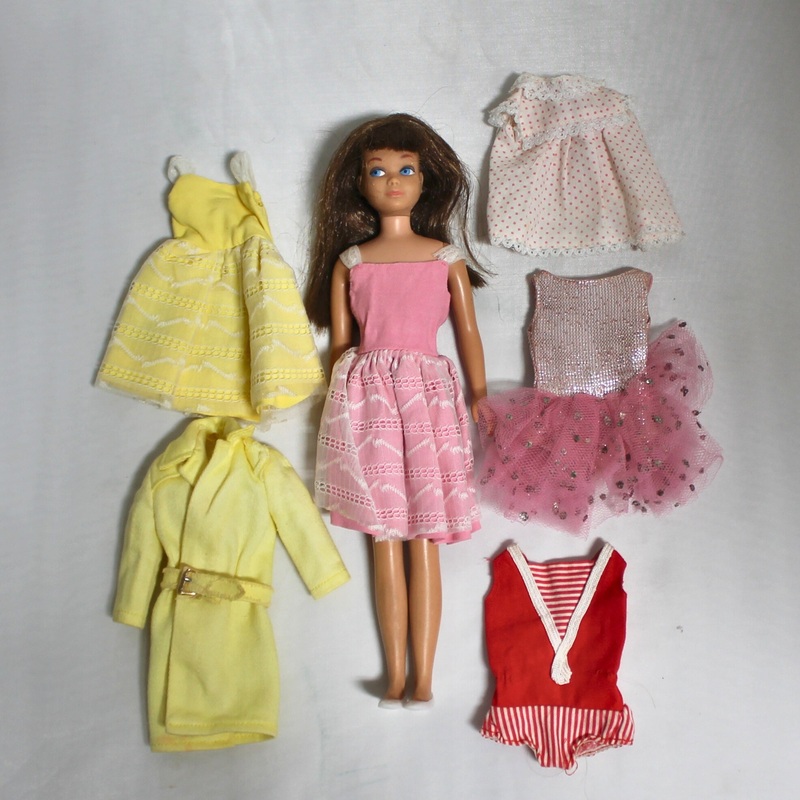 Barbie: Brunette Skipper Doll & Doll Clothing