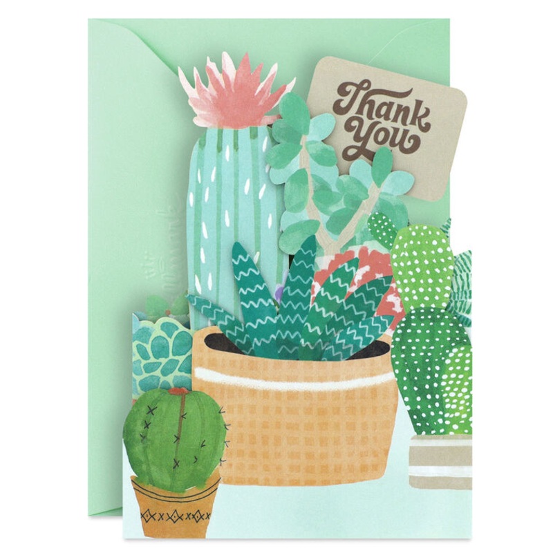 Succulents Collection Blank Thank You Notes, Pack of 8