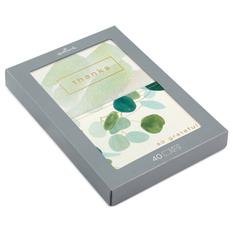 Watercolor Eucalyptus Assorted Blank Thank-You Notes, Pack of 40