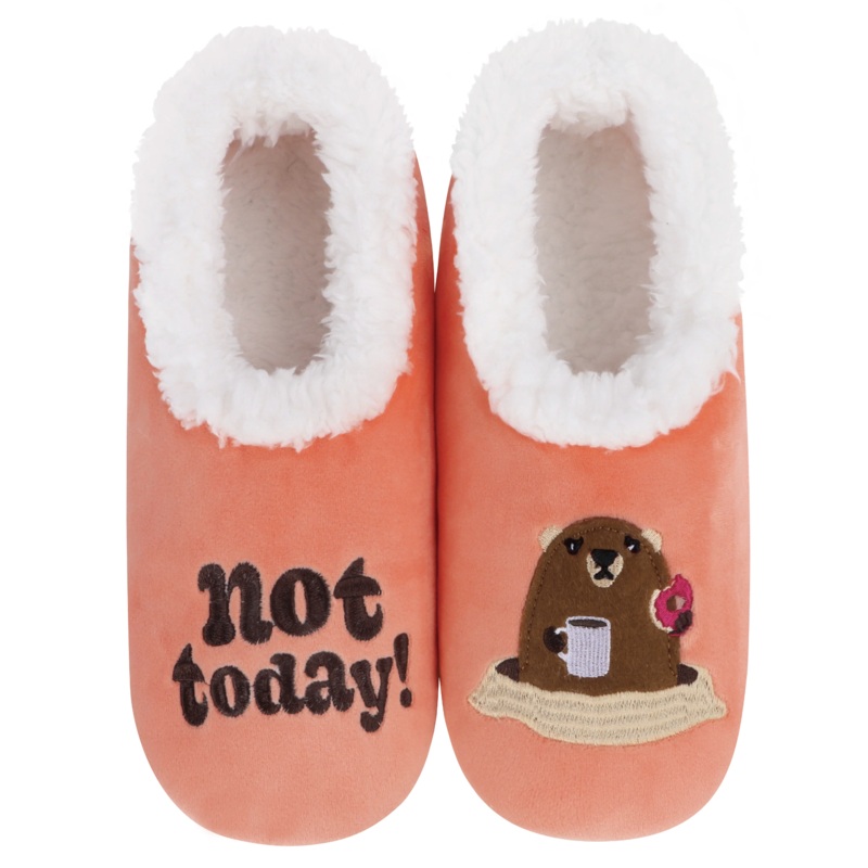 Not Today Groundhog Pairables