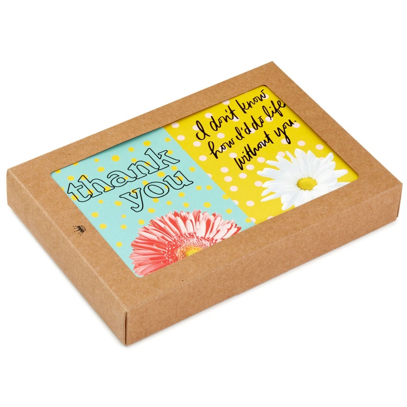 Colorful Daisies Boxed Thank-You Notes, Pack of 50
