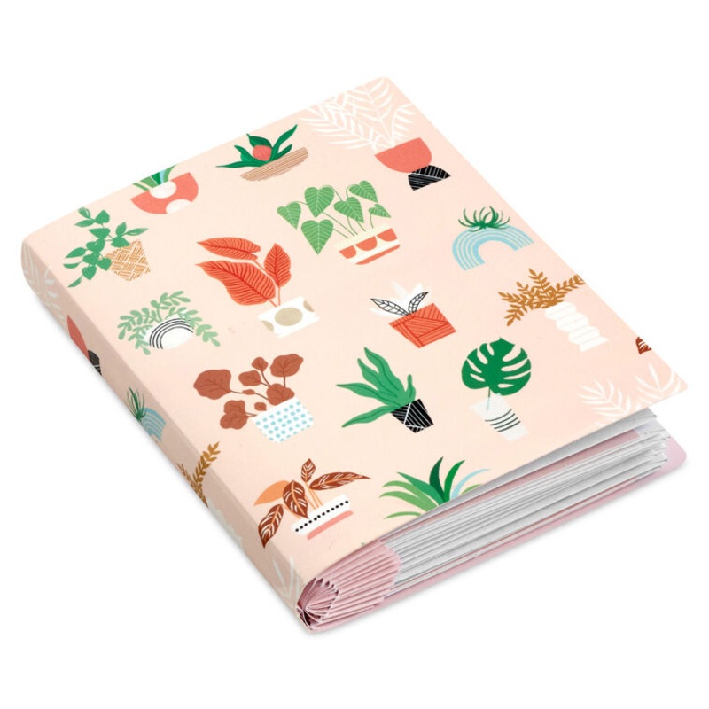 Soft Pastel Modern Wishes Booklet of Cards, Pack of 12