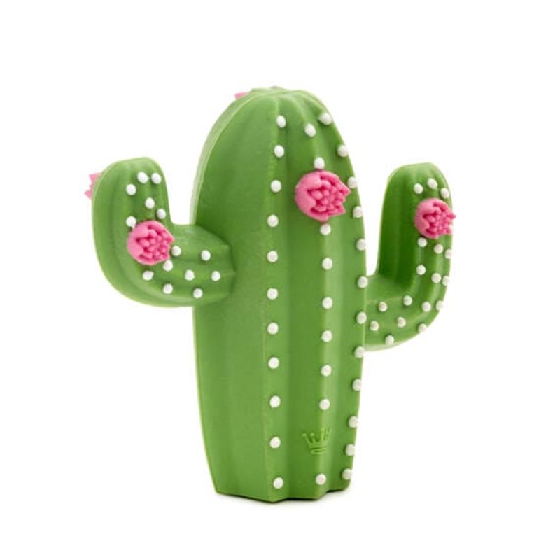 Charmers Cactus Silicone Charm