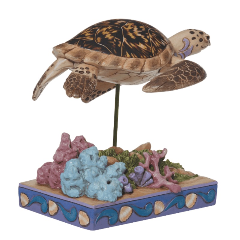 Hawksbill Sea Turtle