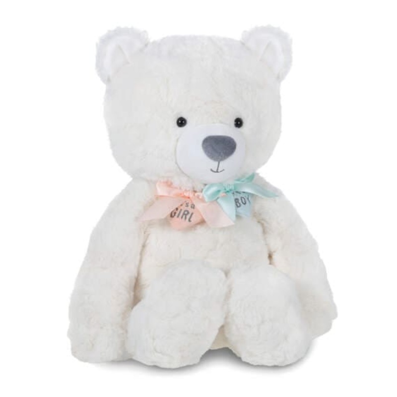 Gender Reveal Teddy Bear Plush With Ribbons